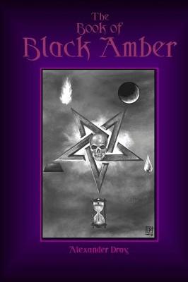 Book cover for The Book of Black Amber