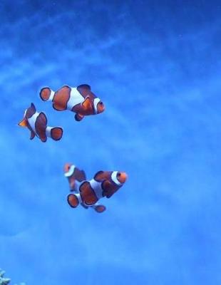 Cover of Clown Fish Fishes Clowns Aquarium Fish Tank Tanks Underwater Ocean Sea Marine