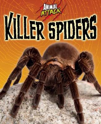 Book cover for Killer Spiders