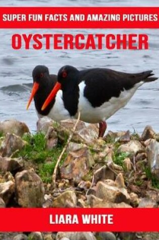 Cover of Oystercatcher