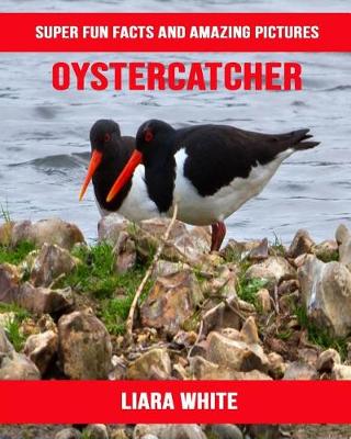 Book cover for Oystercatcher