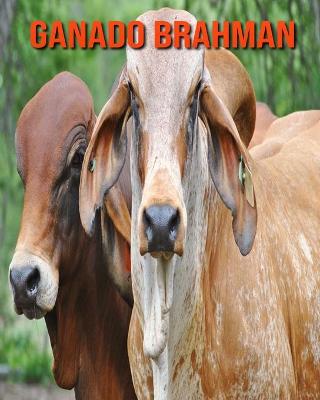 Book cover for Ganado brahman