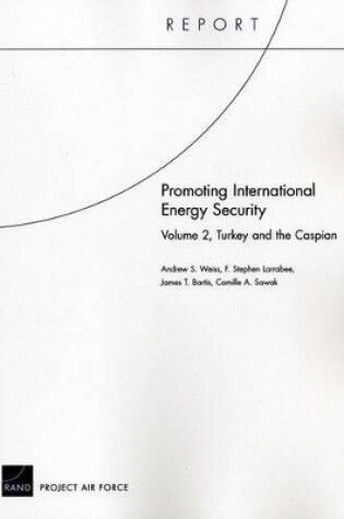Cover of Promoting International Energy Security