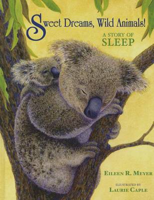 Book cover for Sweet Dreams, Wild Animals!
