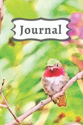 Cover of Pink Flowers & Green Ruby throated Hummingbird Diary, Pretty Bird Journal for Daily Thoughts