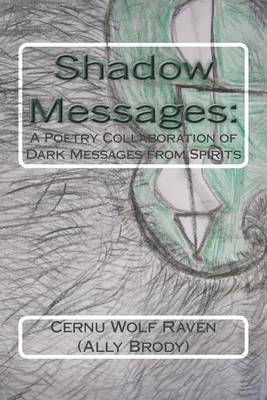 Book cover for Shadow Messages