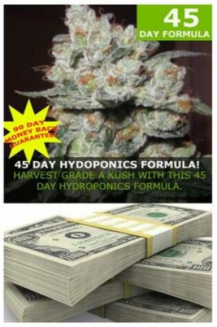 Cover of 45 Day Formula