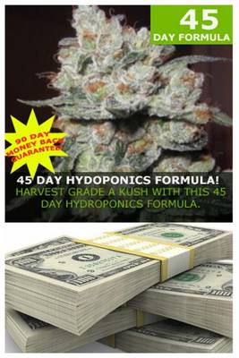 Book cover for 45 Day Formula