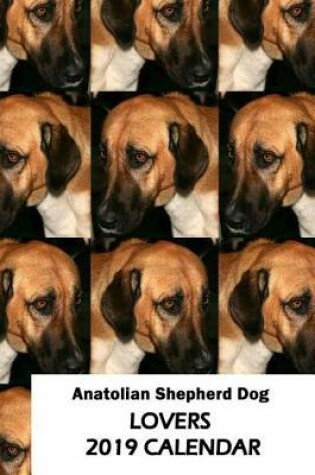 Cover of Anatolian Shepherd Dog Lovers 2019 Calendar