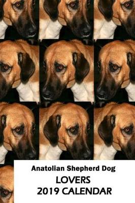 Book cover for Anatolian Shepherd Dog Lovers 2019 Calendar