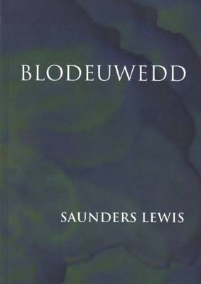 Book cover for Blodeuwedd