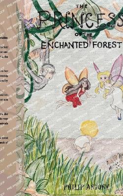 Book cover for The Princess of the Enchanted Forest