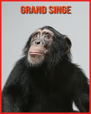 Book cover for Grand Singe