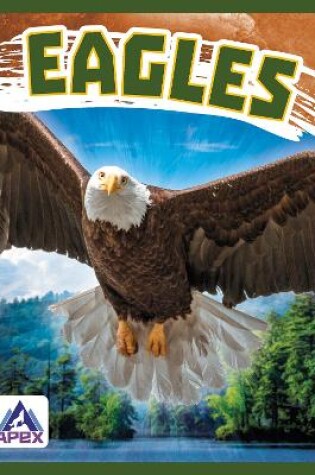 Cover of Birds of Prey: Eagles