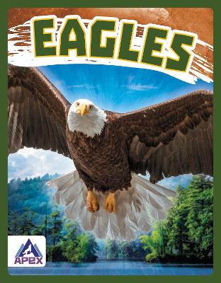 Book cover for Birds of Prey: Eagles