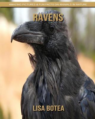 Book cover for Ravens