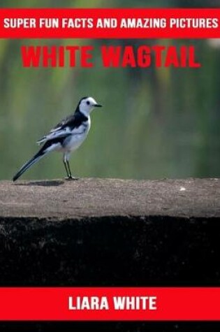 Cover of White Wagtail