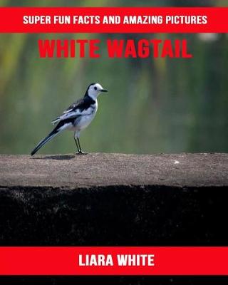 Book cover for White Wagtail