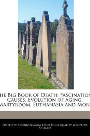 Cover of The Big Book of Death