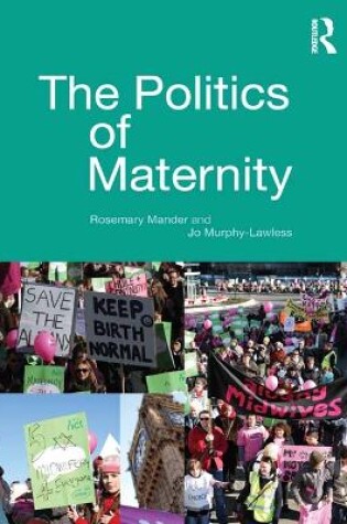Cover of The Politics of Maternity