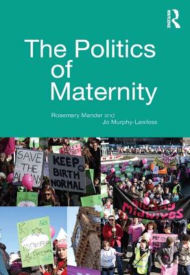 Cover of The Politics of Maternity