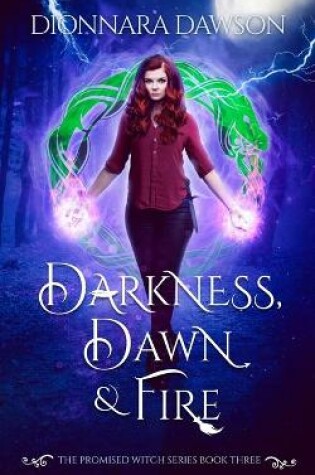 Cover of Darkness, Dawn & Fire