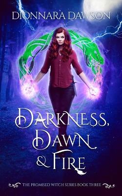 Cover of Darkness, Dawn & Fire