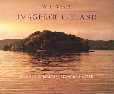 Book cover for W.B.Yeats