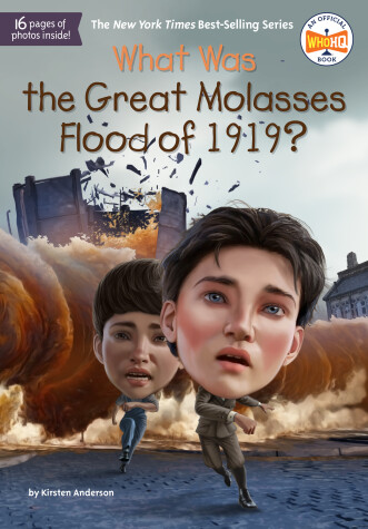 Book cover for What Was the Great Molasses Flood of 1919?