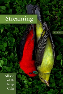 Book cover for Streaming