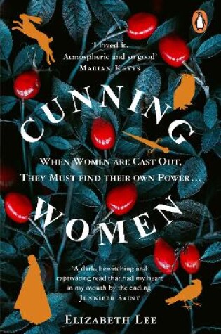 Cover of Cunning Women