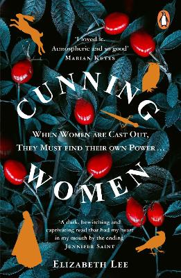 Book cover for Cunning Women