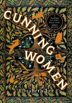 Book cover for Cunning Women