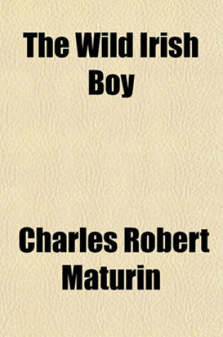 Cover of The Wild Irish Boy (Volume 2); In Three Volumes