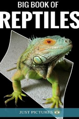 Cover of Big Book of Reptiles