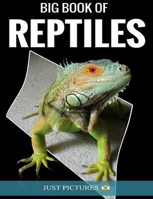 Book cover for Big Book of Reptiles