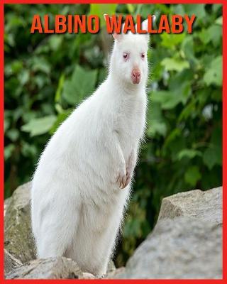 Book cover for Albino Wallaby