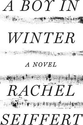 Book cover for A Boy in Winter