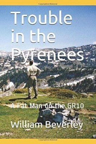 Cover of Noun Trouble in the Pyrenees