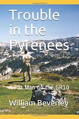Book cover for Noun Trouble in the Pyrenees