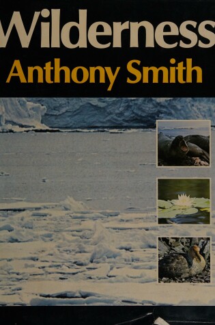 Cover of Wilderness