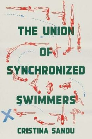 Cover of The Union of Synchronized Swimmers