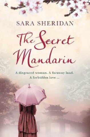 Cover of The Secret Mandarin
