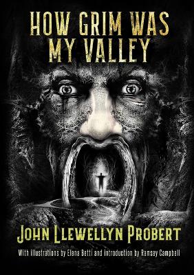 Book cover for How Grim Was My Valley