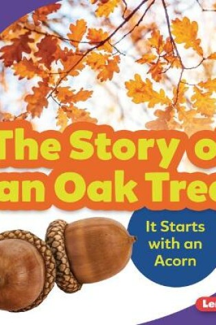 Cover of The Story of an Oak Tree