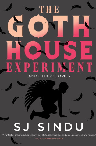 Cover of The Goth House Experiment