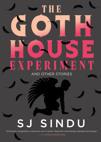 Book cover for The Goth House Experiment