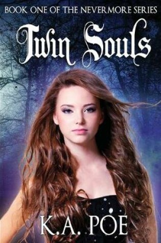 Cover of Twin Souls