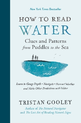 Book cover for How to Read Water