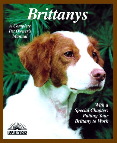 Book cover for Brittanys